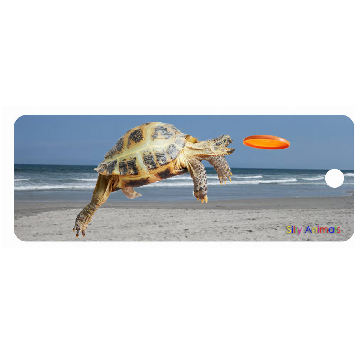 Turtle Frisbee - 3D Bookmark