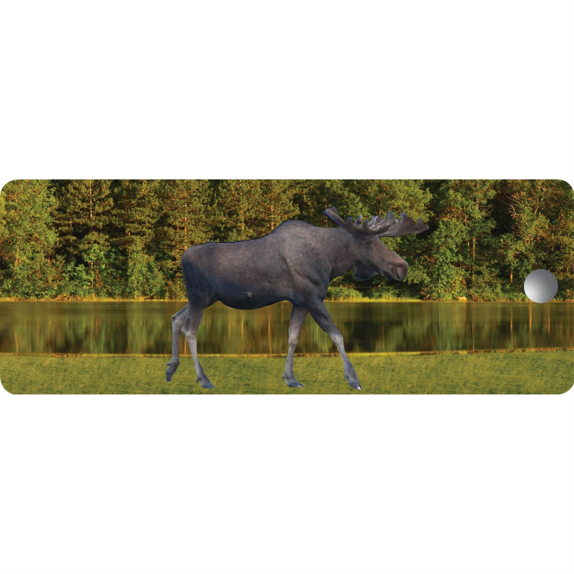 Moose Walking - Motion Bookmark