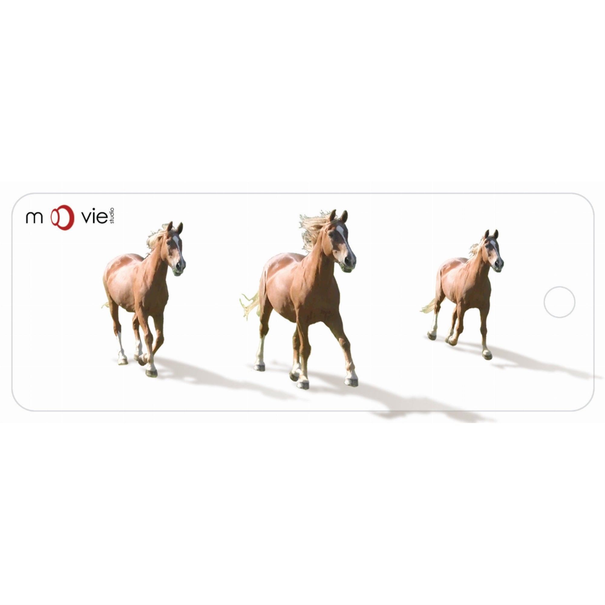 Horses - Clear Motion Bookmark