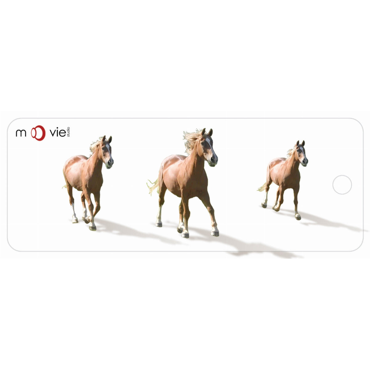 Horses - Clear Motion Bookmark