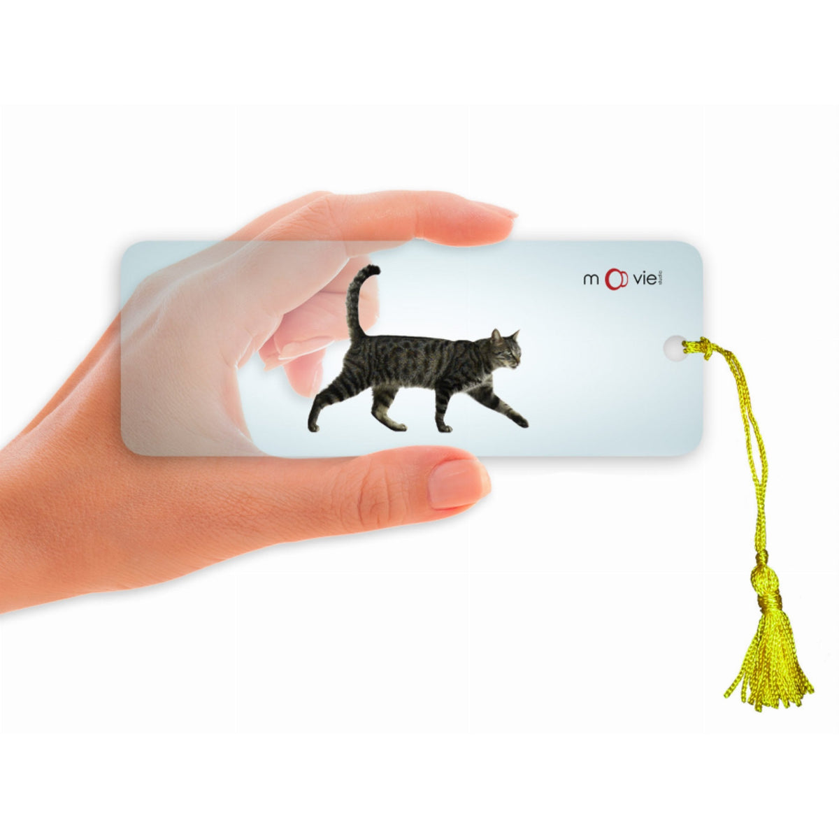 Cat Walking- Clear Motion Bookmark