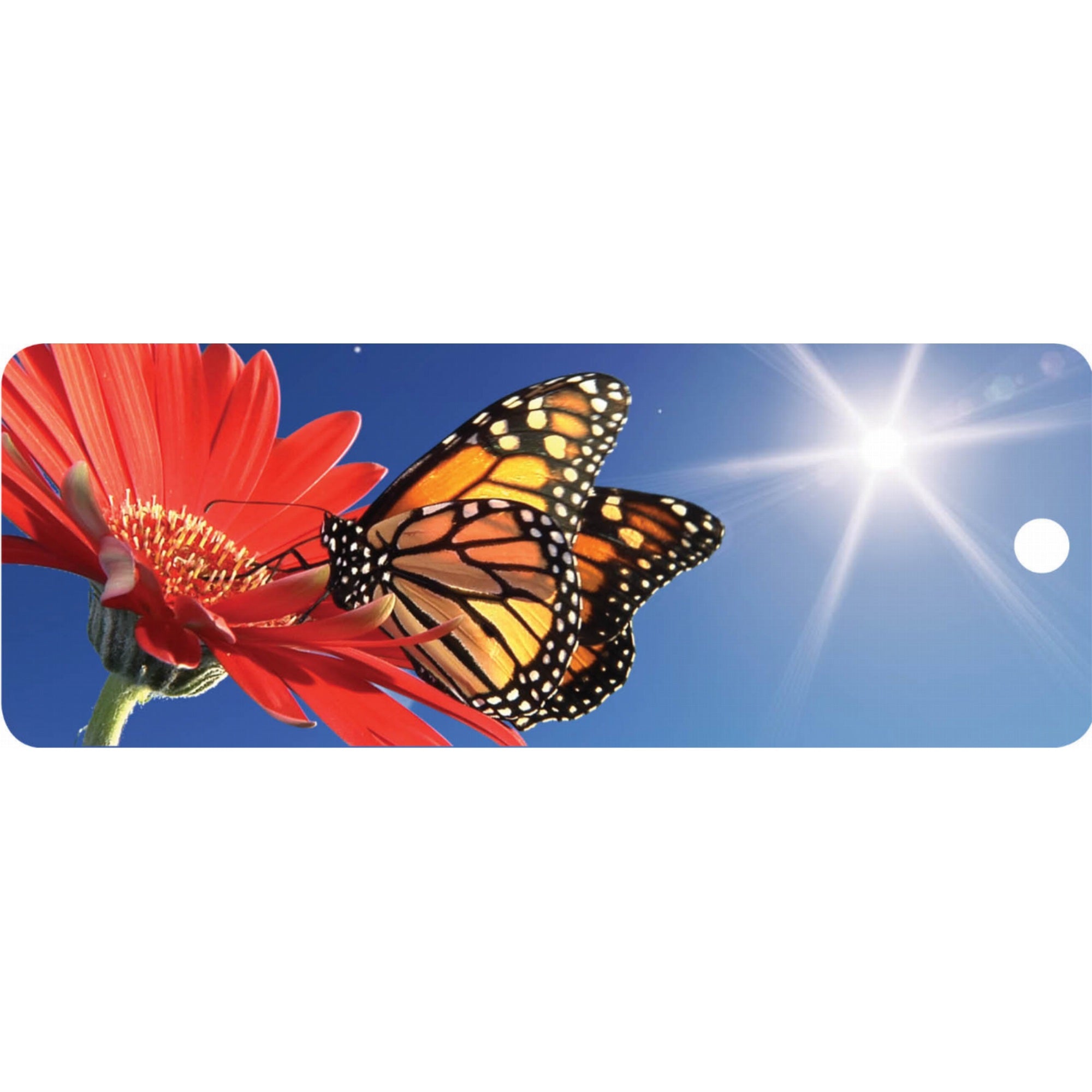 Butterfly - Motion Bookmark