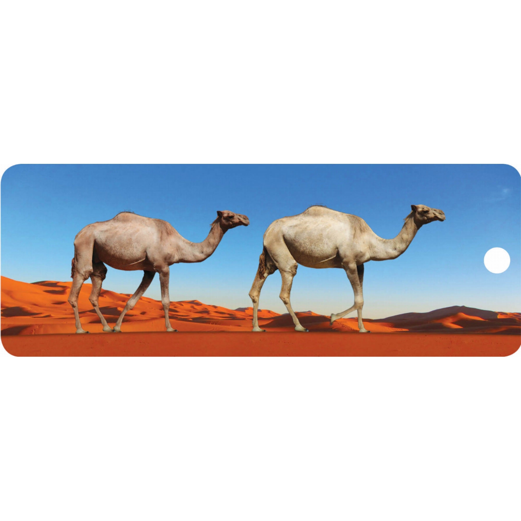 Camels - Motion Bookmark