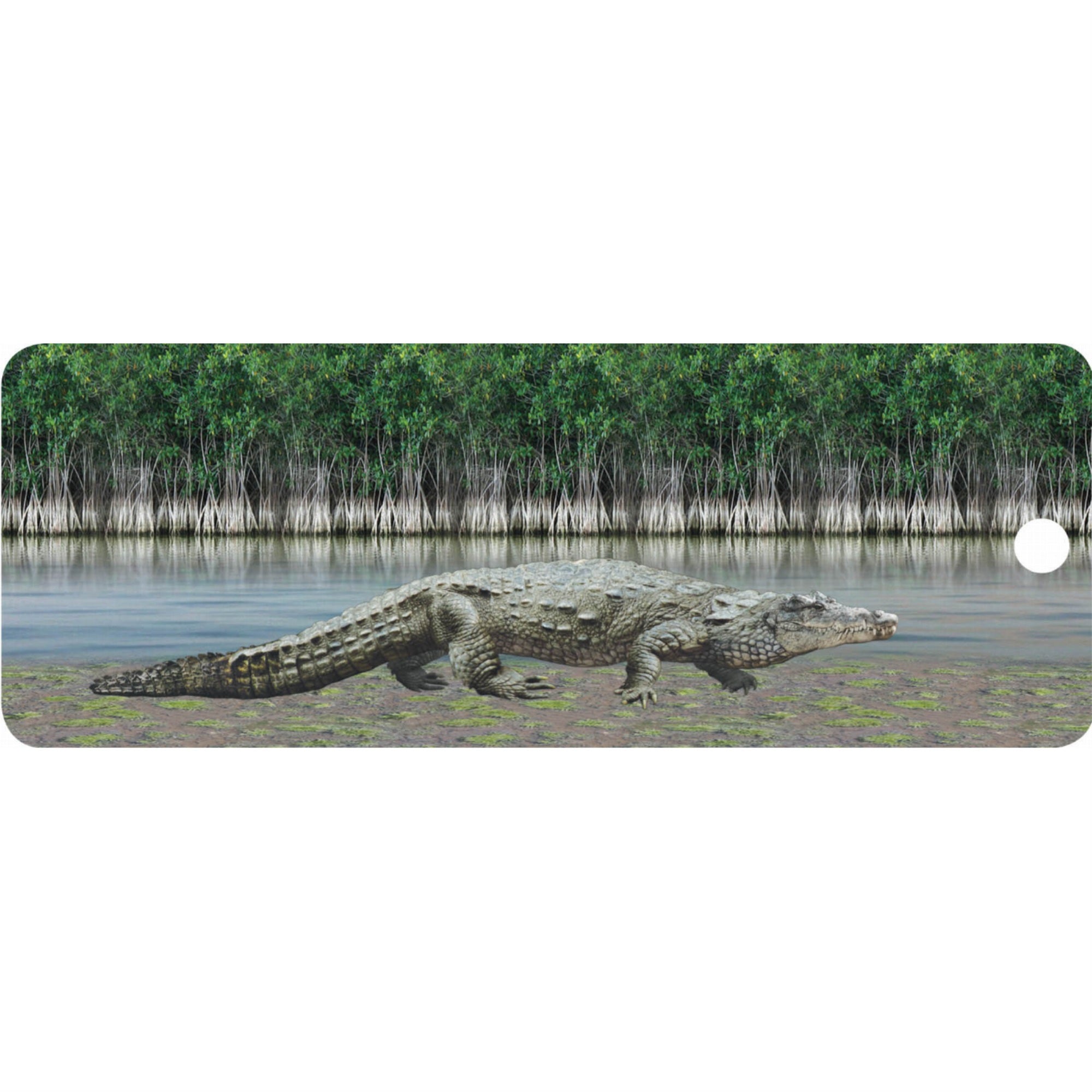 Crocodile - Motion Bookmark