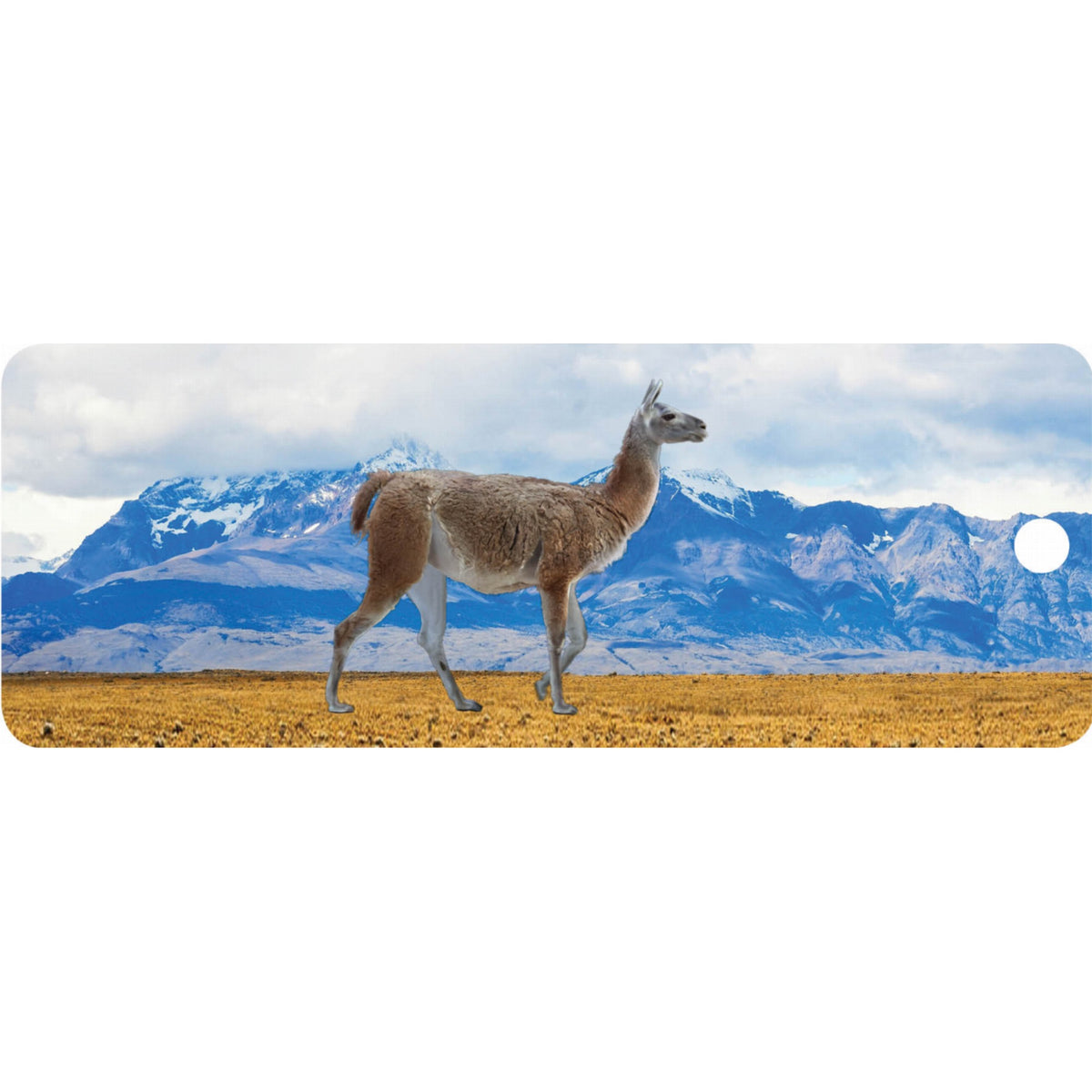 Llama - Motion Bookmark