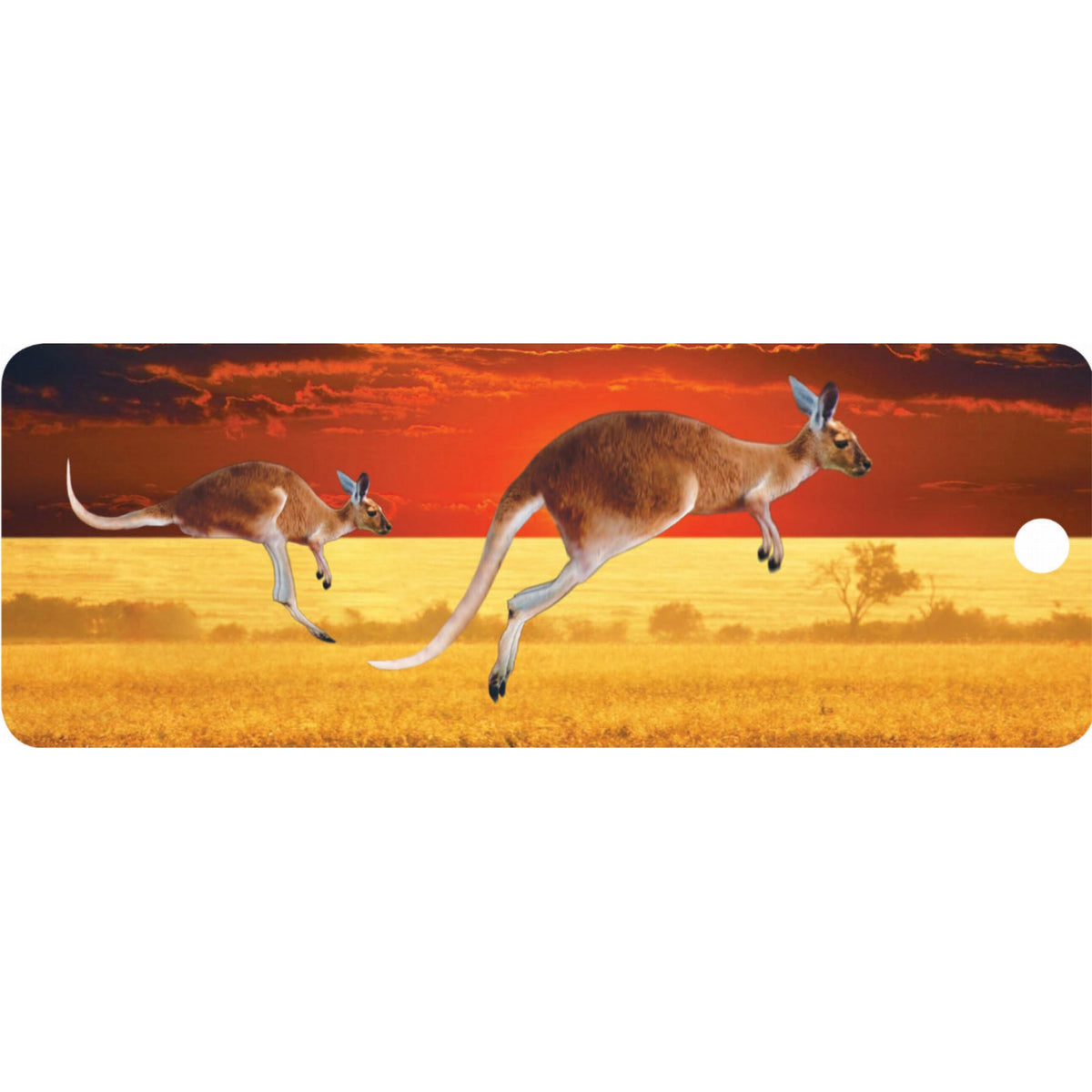 Kangaroos - Motion Bookmark