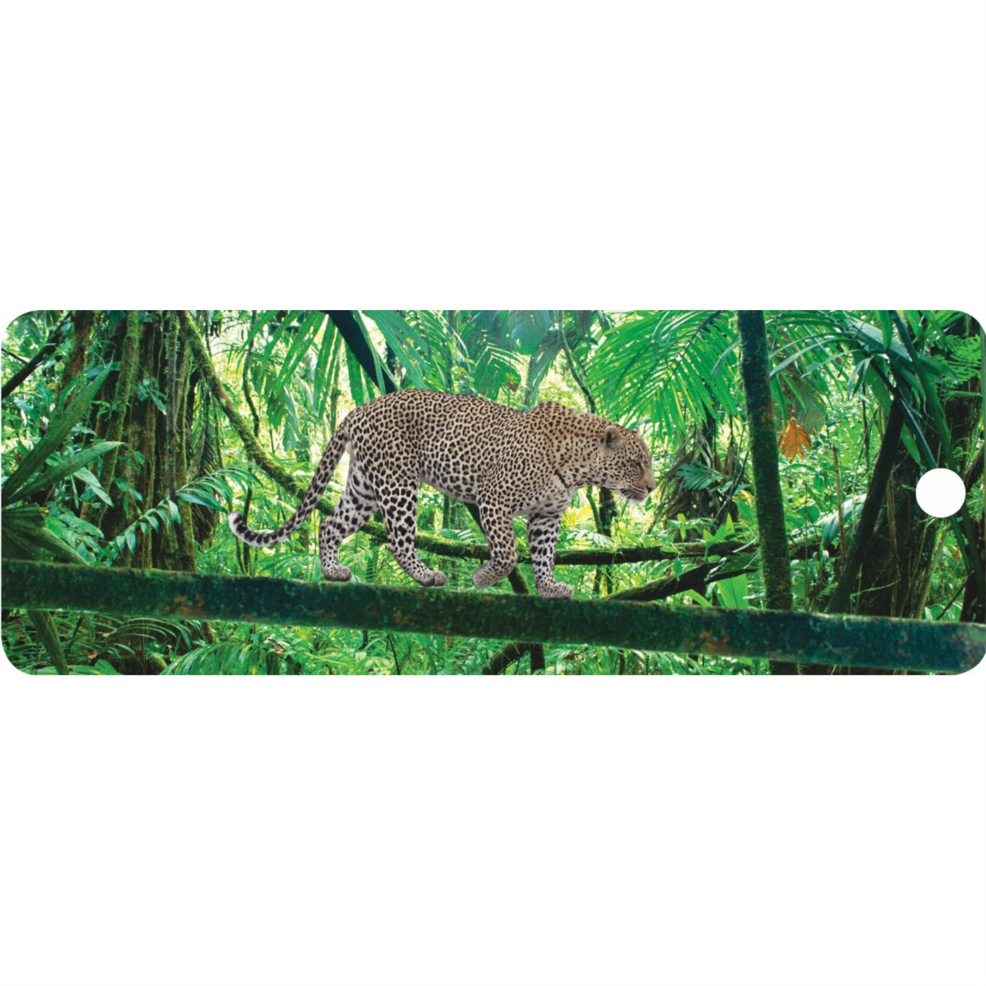 Leopard - Motion Bookmark