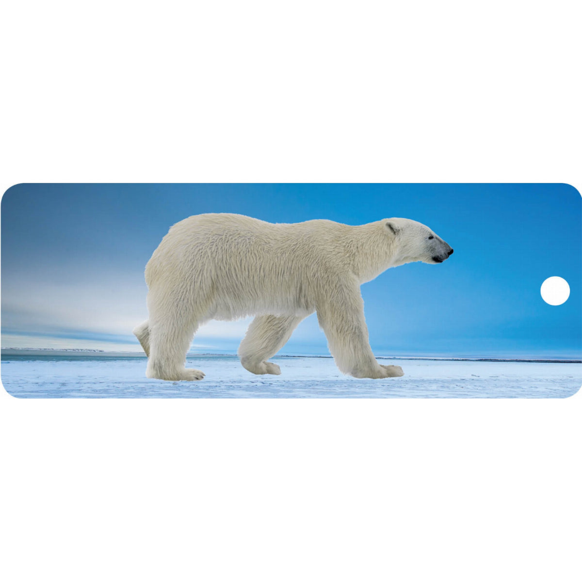 Polar Bear - Motion Bookmark