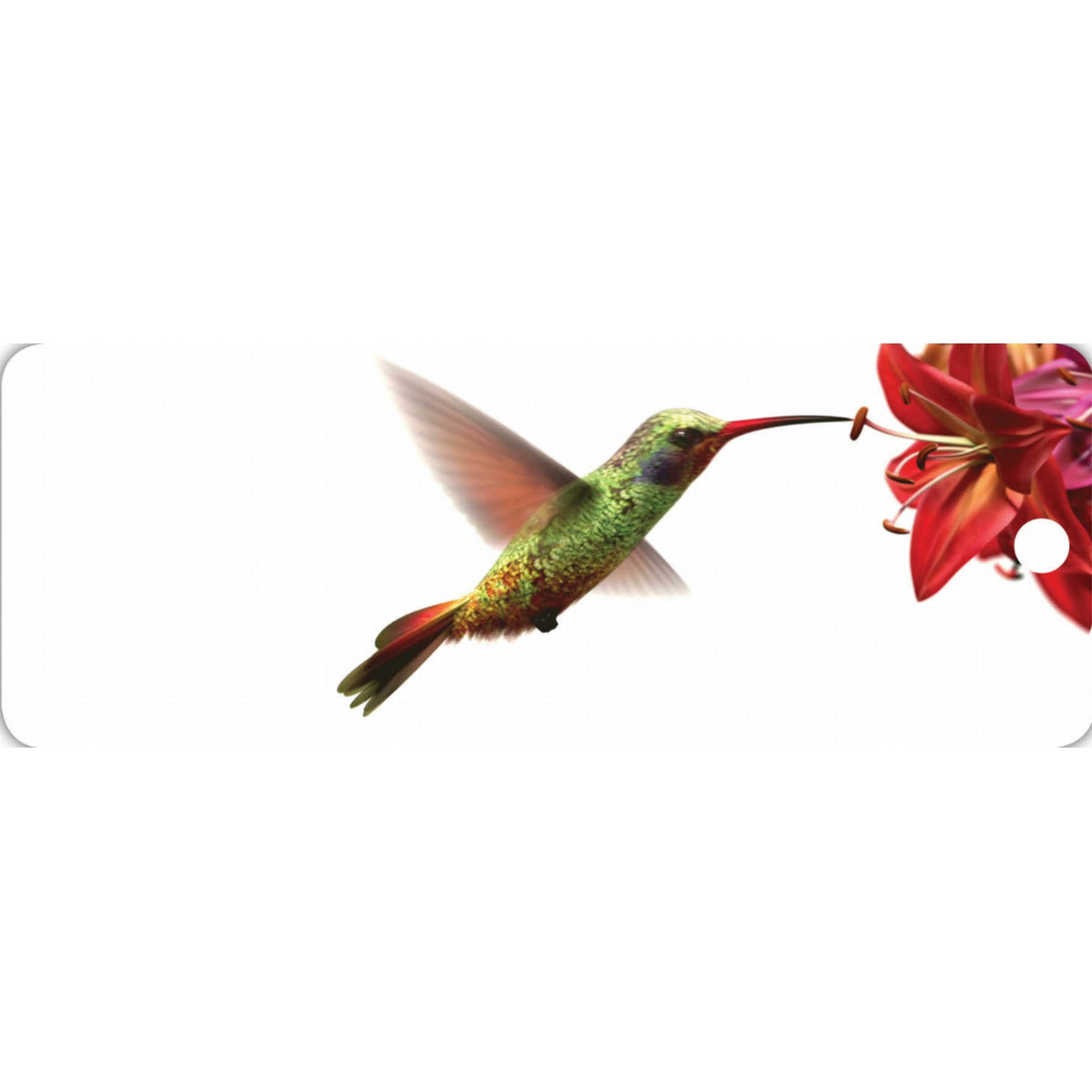 Hummingbird - Motion Bookmark