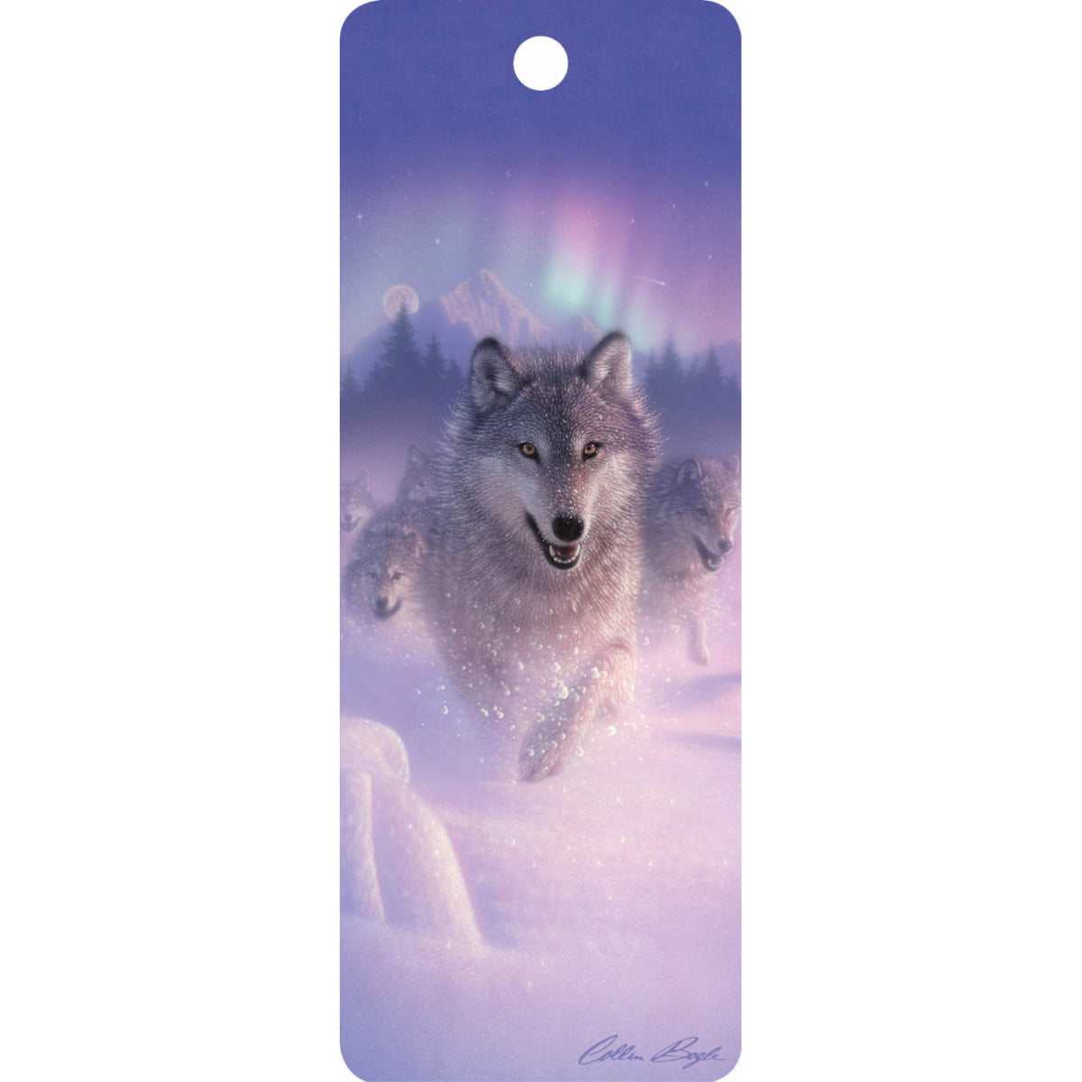 Northern Lights - 3D Bookmark