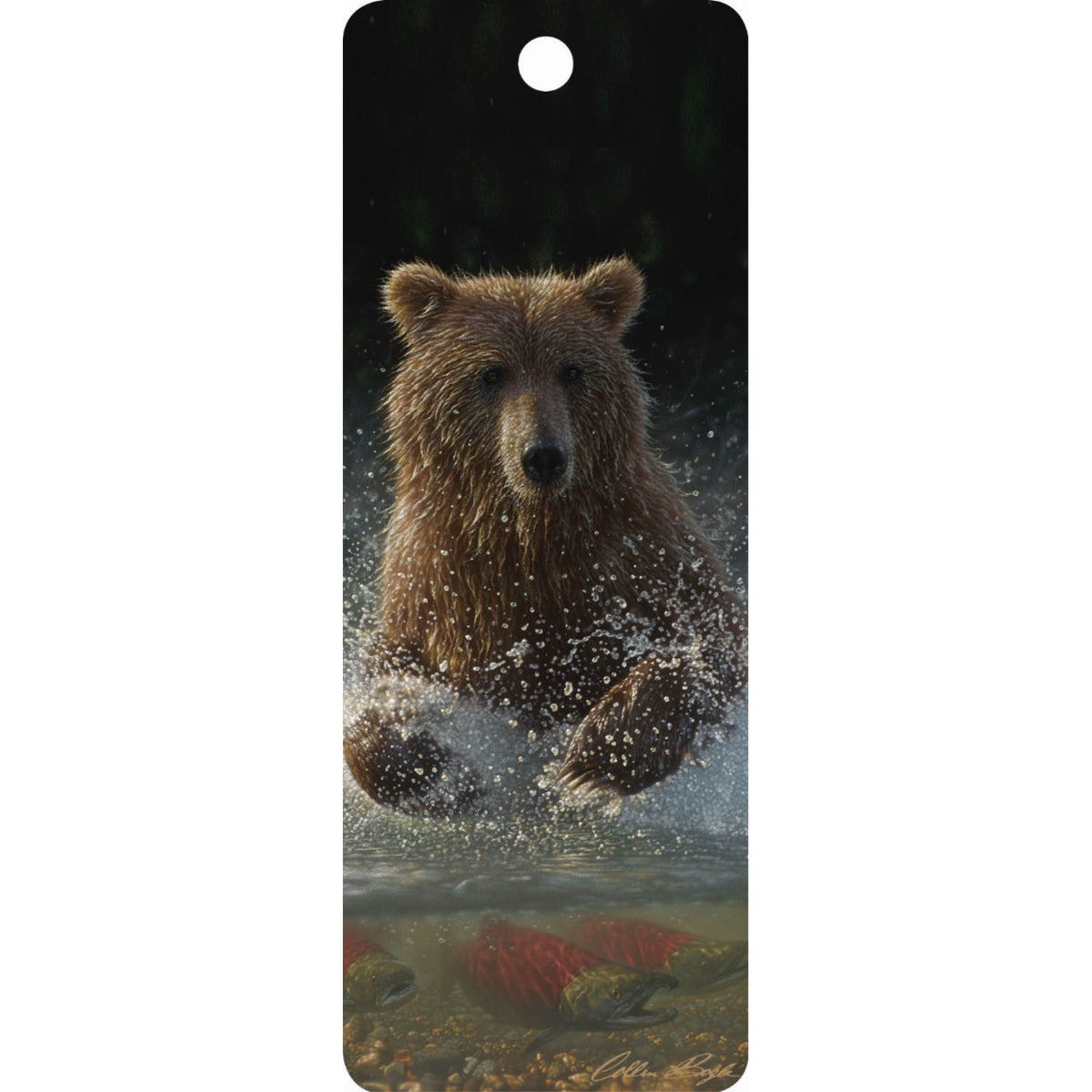Lucky Hole - 3D Bookmark
