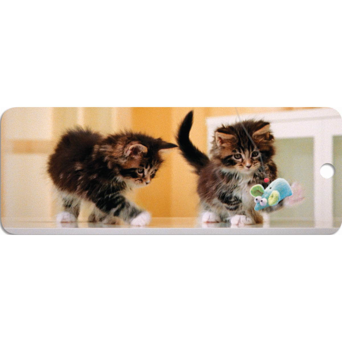 Kittens With Mouse - Motion Bookmark
