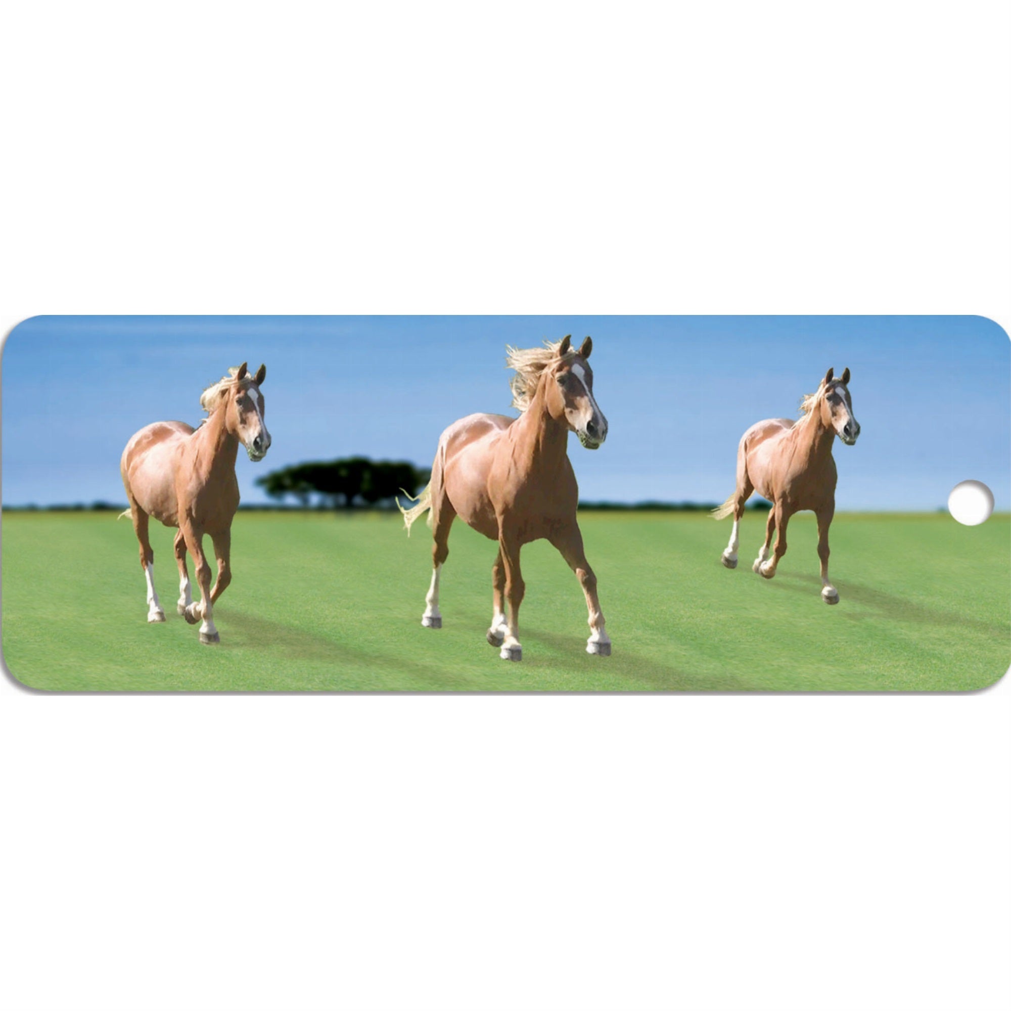 Horses - Motion Bookmark