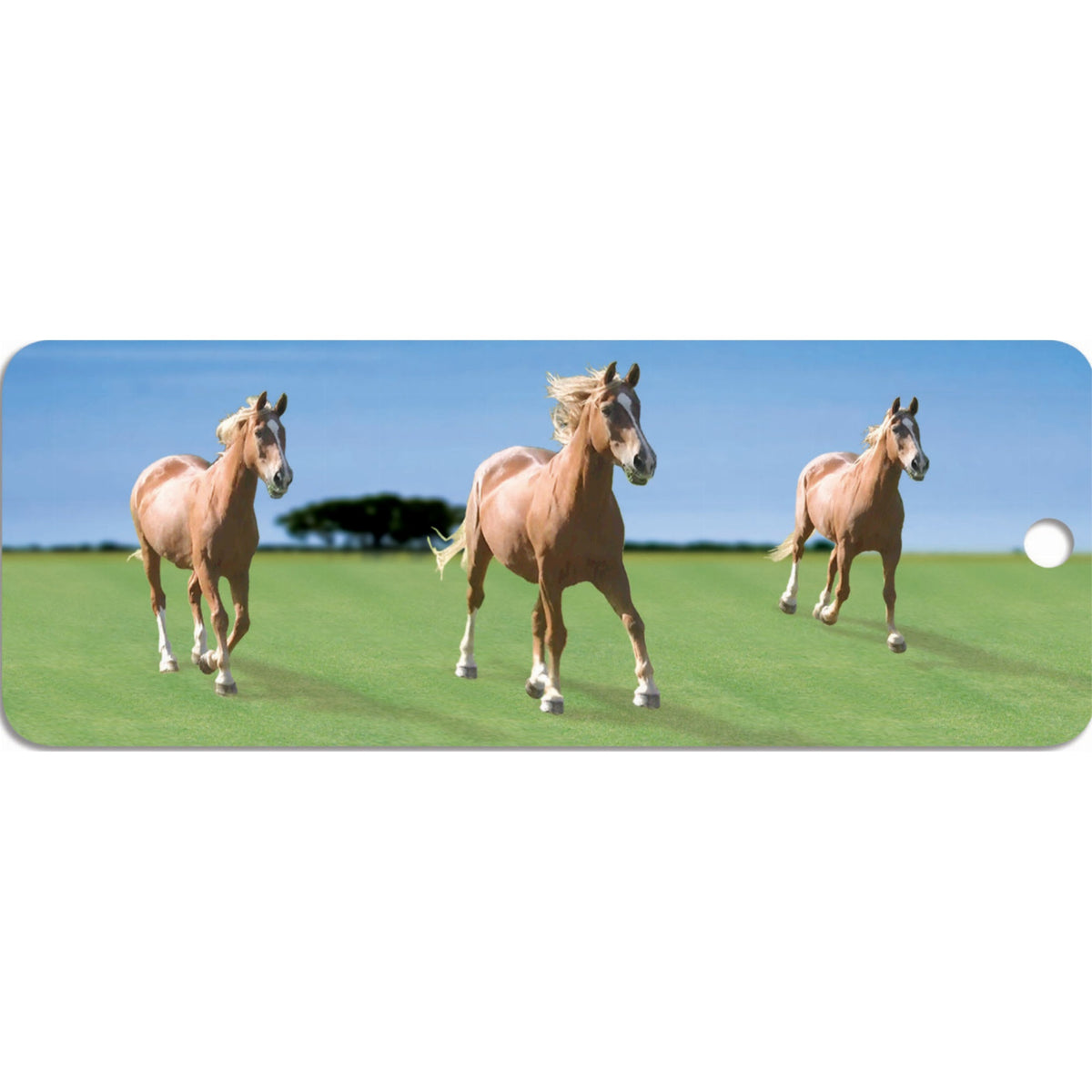 Horses - Motion Bookmark