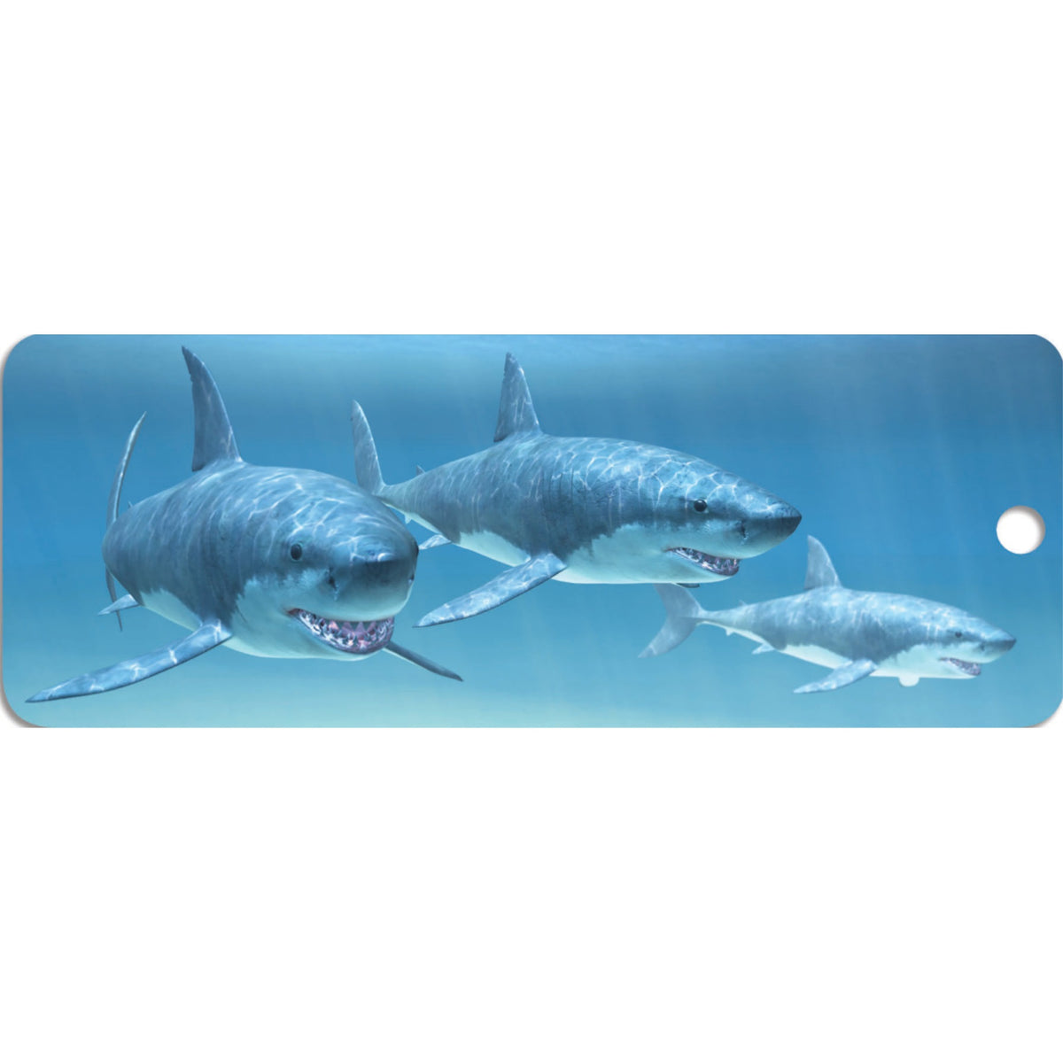 Sharks - Motion Bookmark