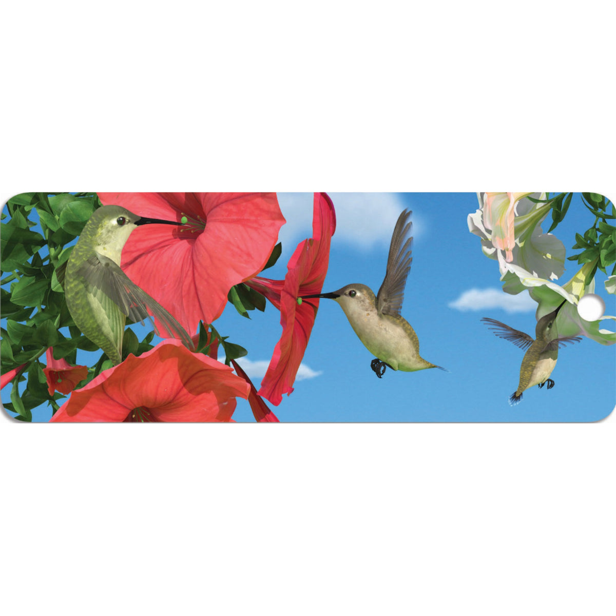 Hummingbirds - Motion Bookmark
