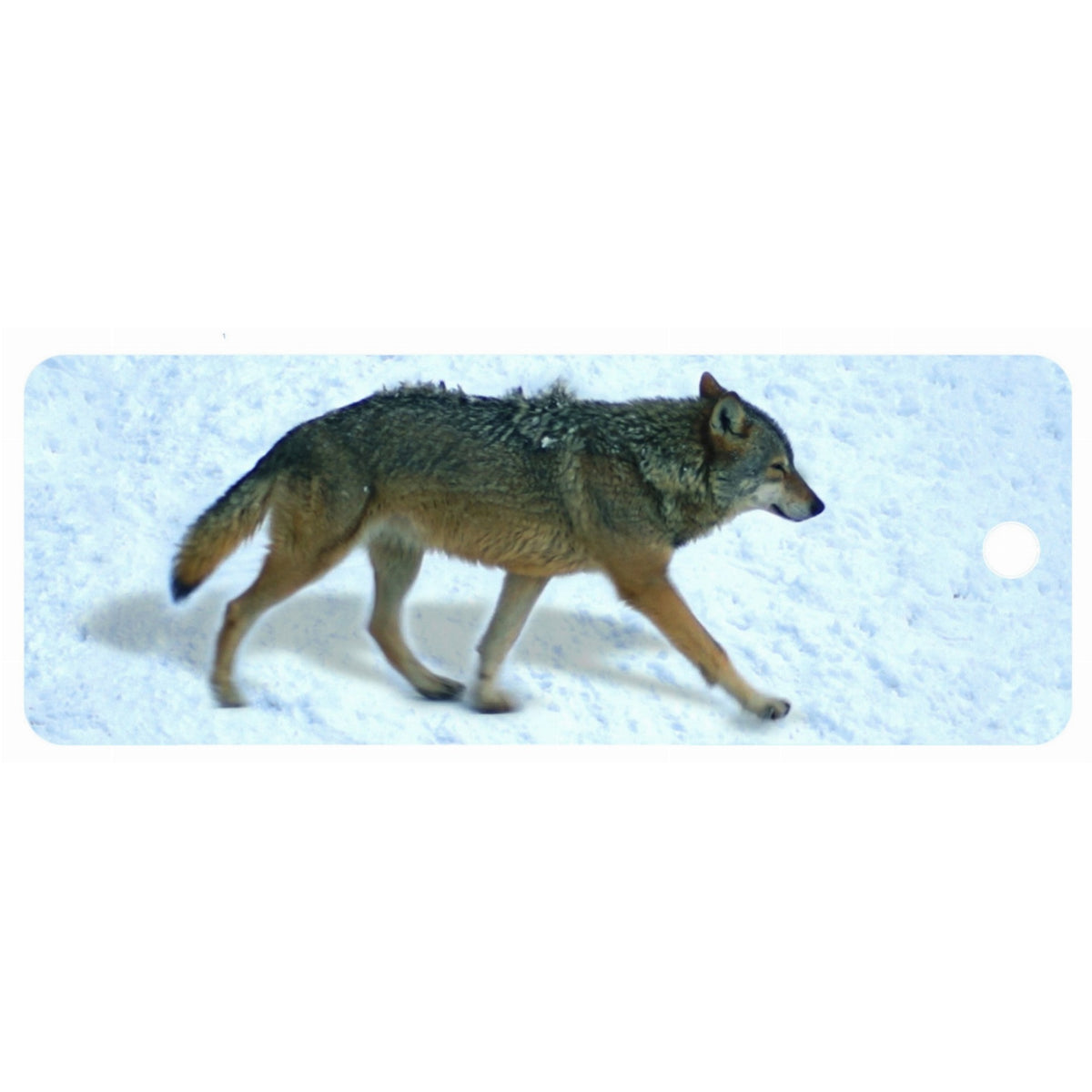 Wolf - Motion Bookmark