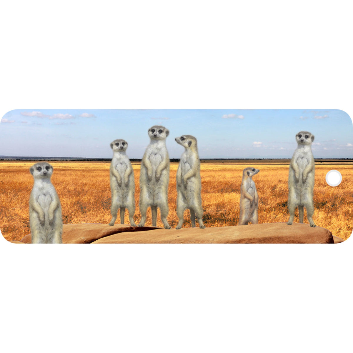 Meerkats - Motion Bookmark