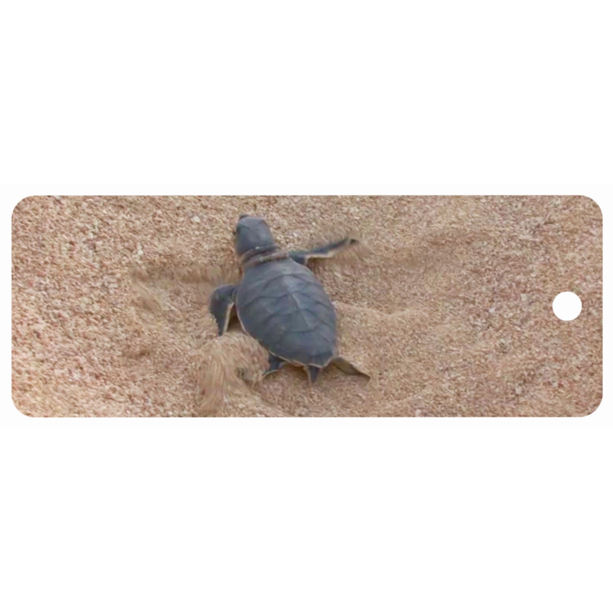 Hatchling - Motion Bookmark
