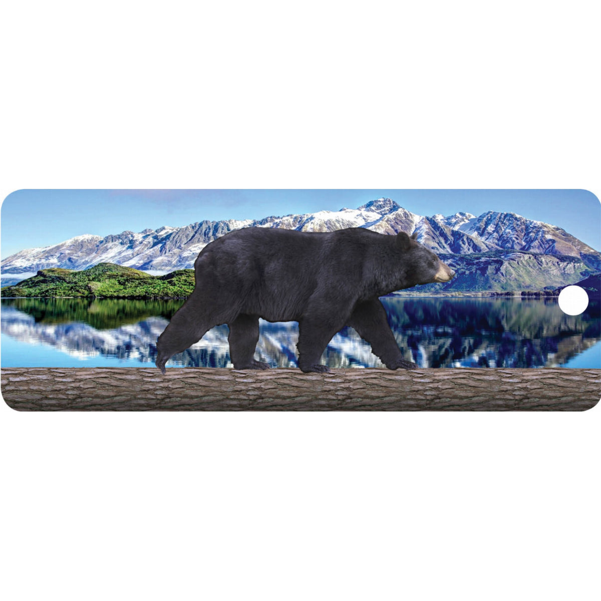 Black Bear Walking - Motion Bookmark