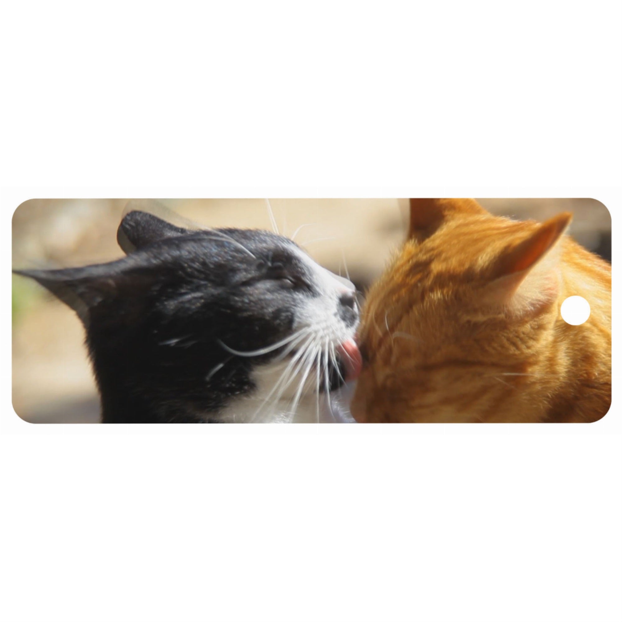 Cats - Motion Bookmark
