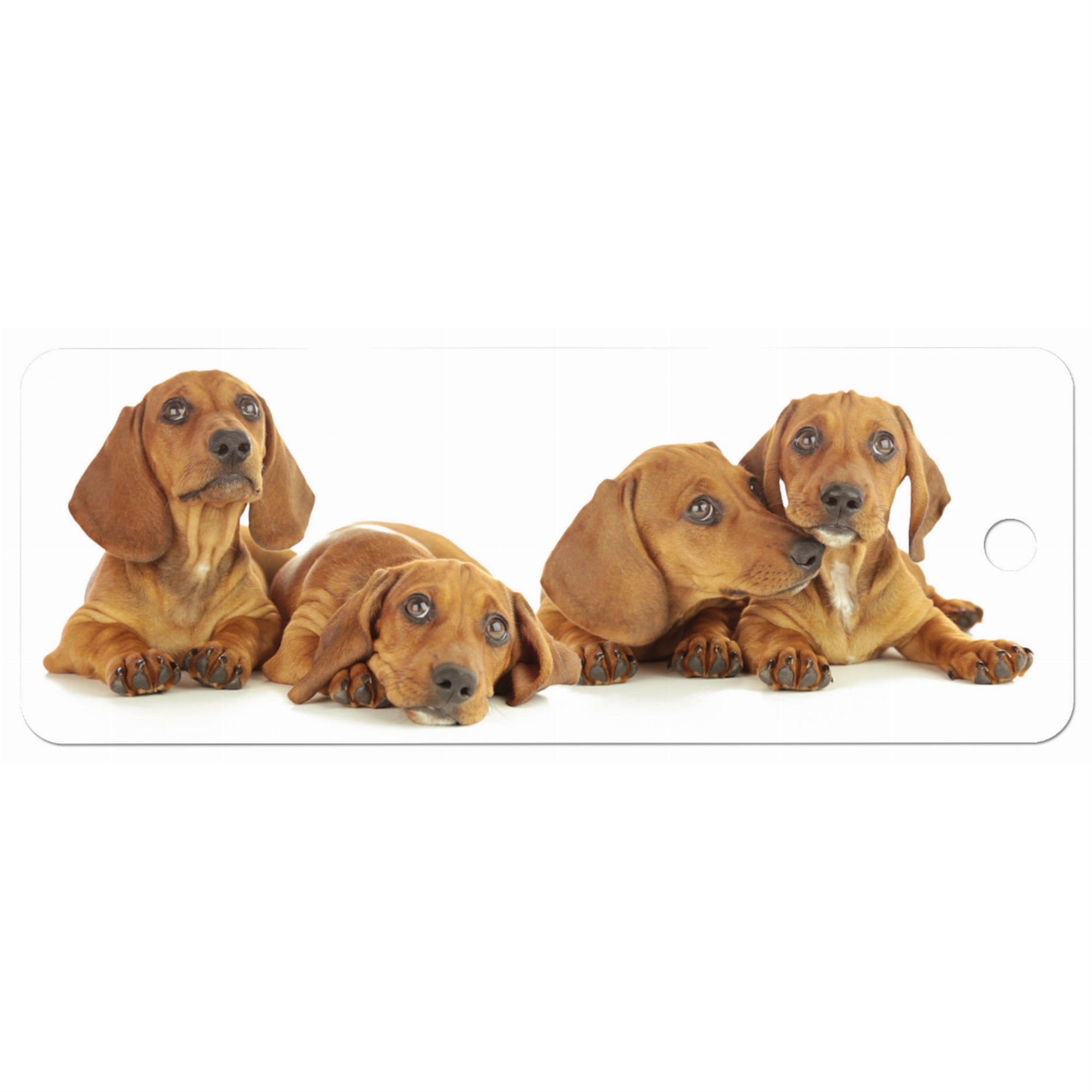 Dogs - Motion Bookmark