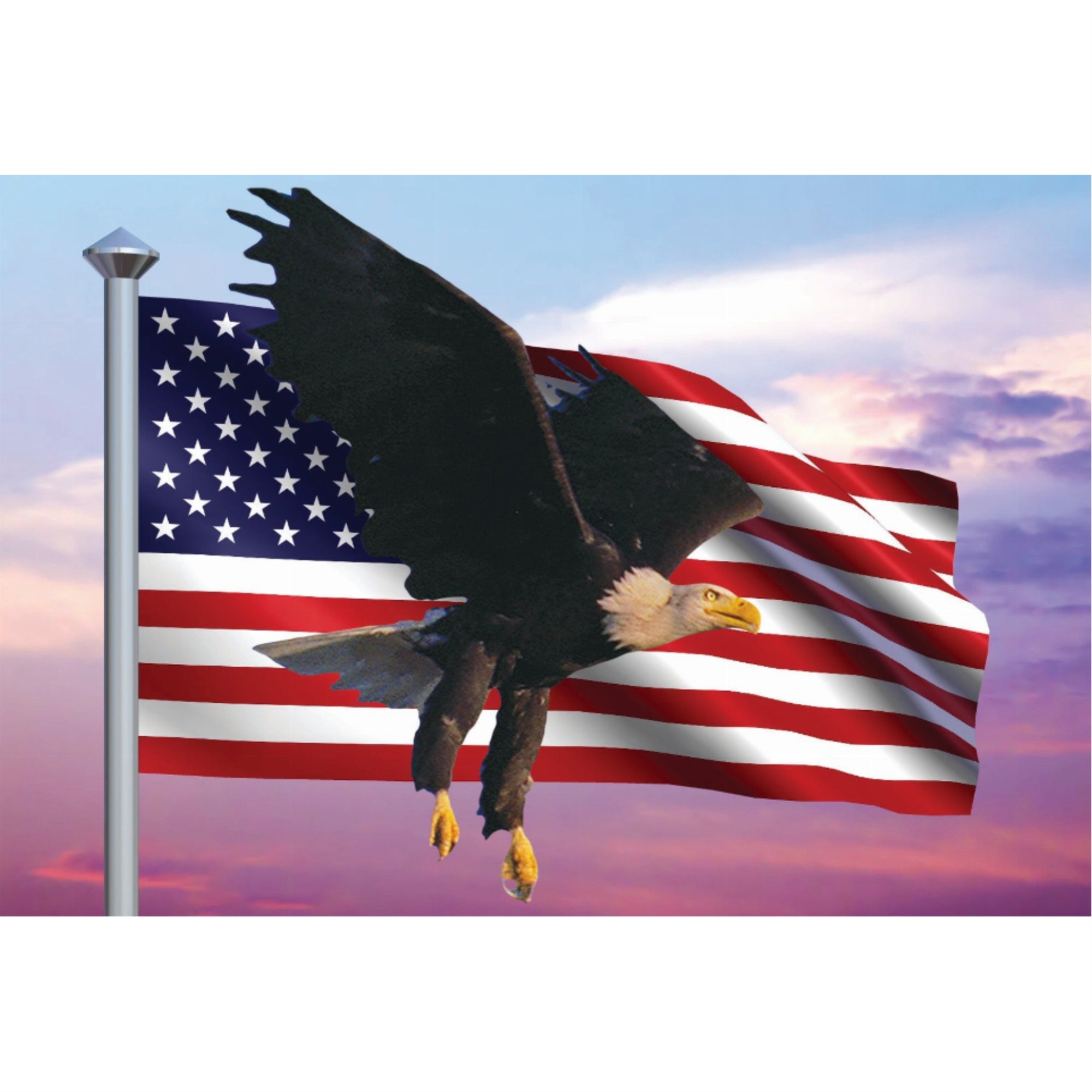 Eagle & Flag - Motion Magnet