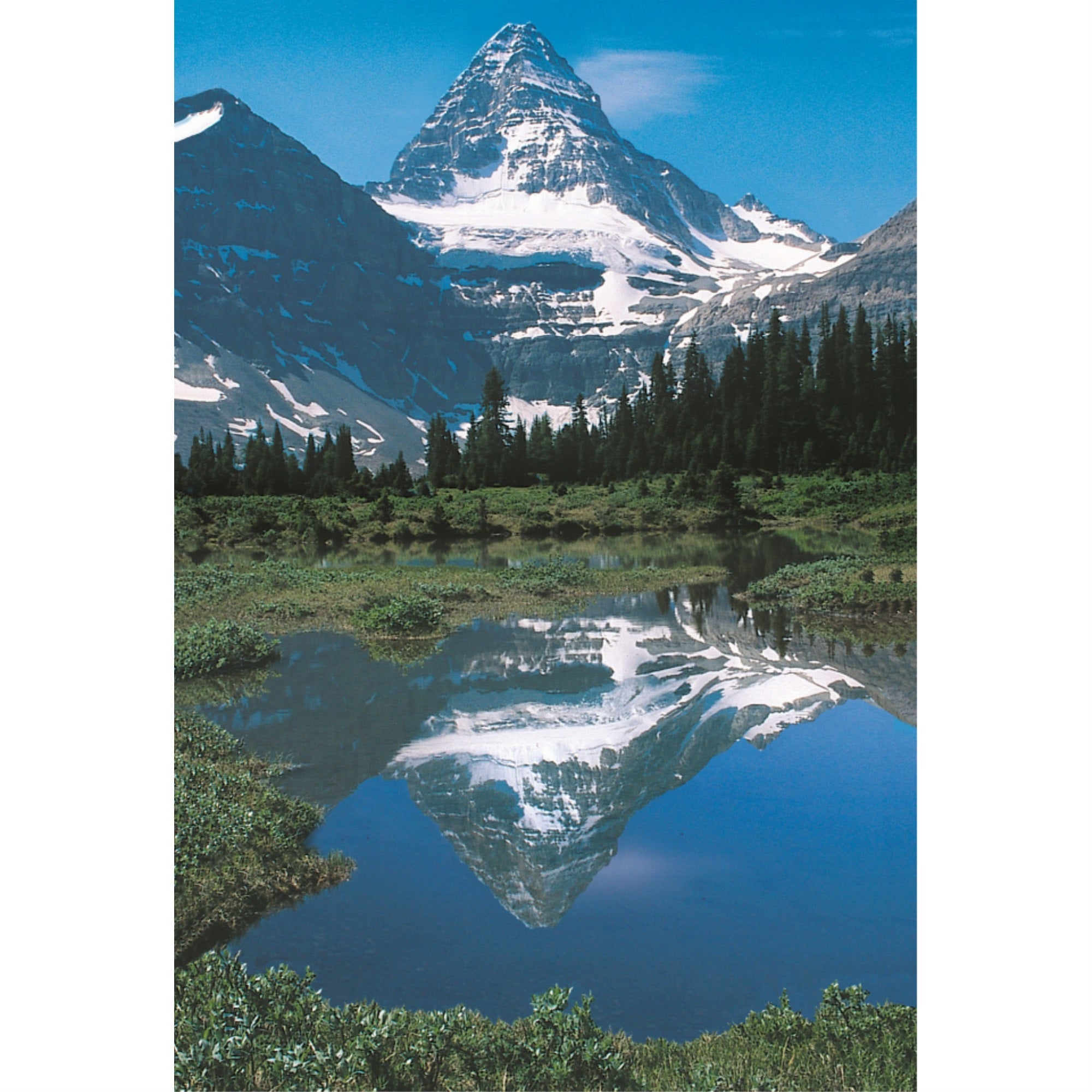 Majestic Reflections - 3D Postcard