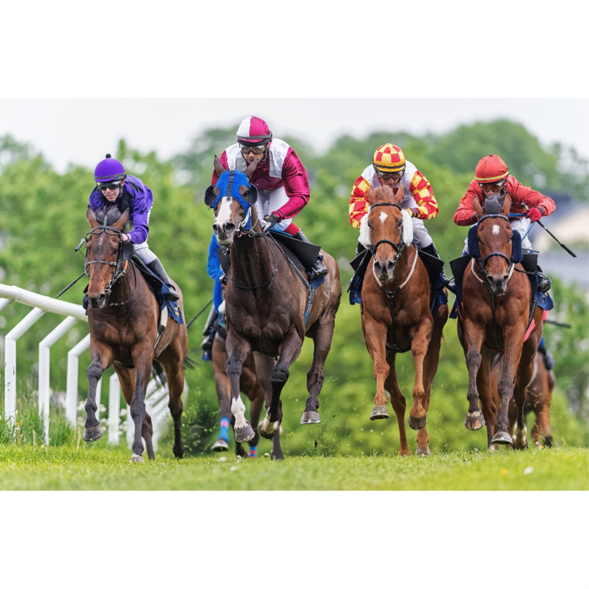 Racing Horses - 3D Postcard