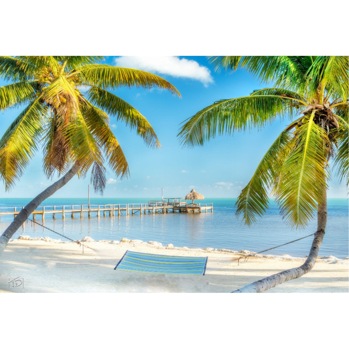 Summer Everlasting- 3D Postcard