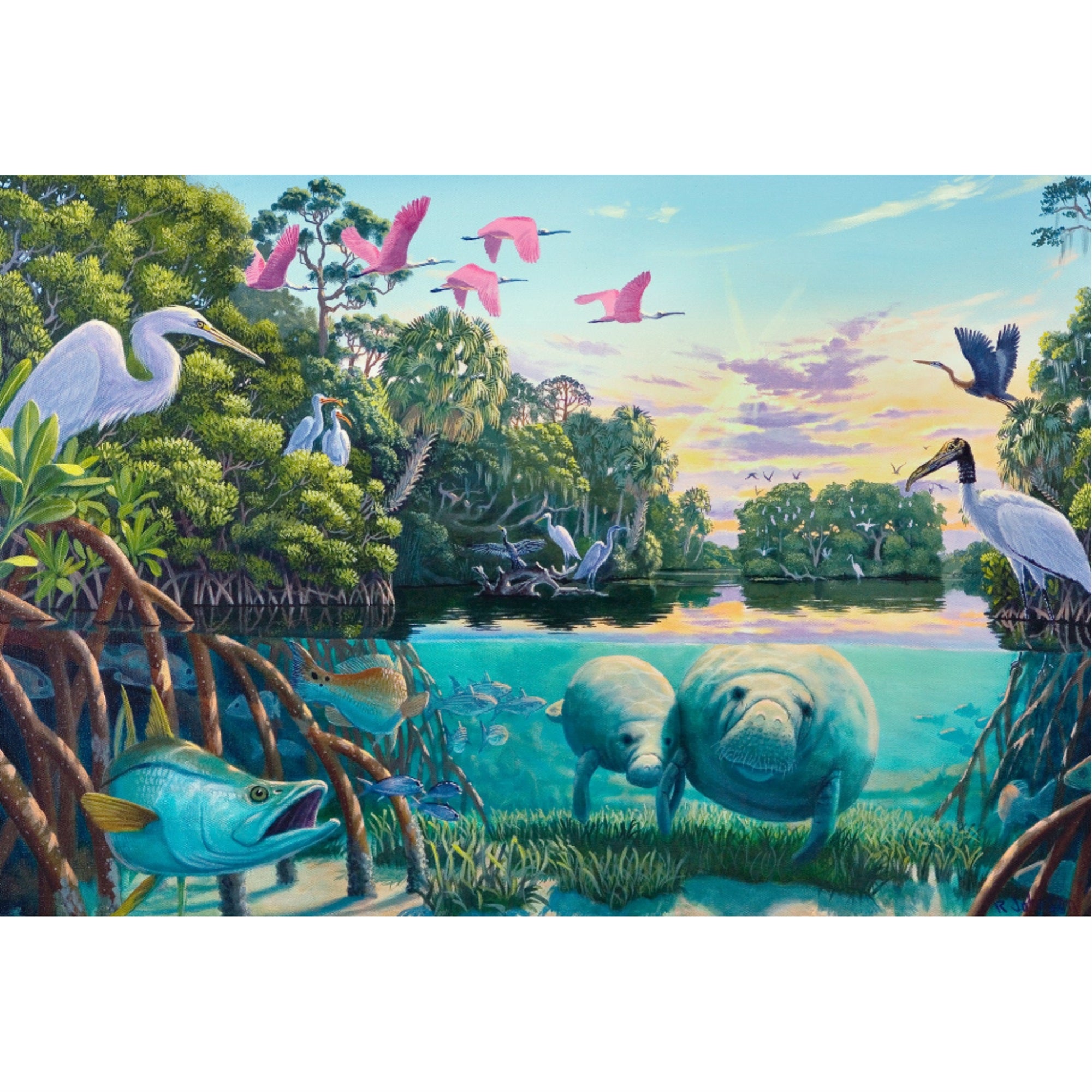 Manatee River- 3D Postcard