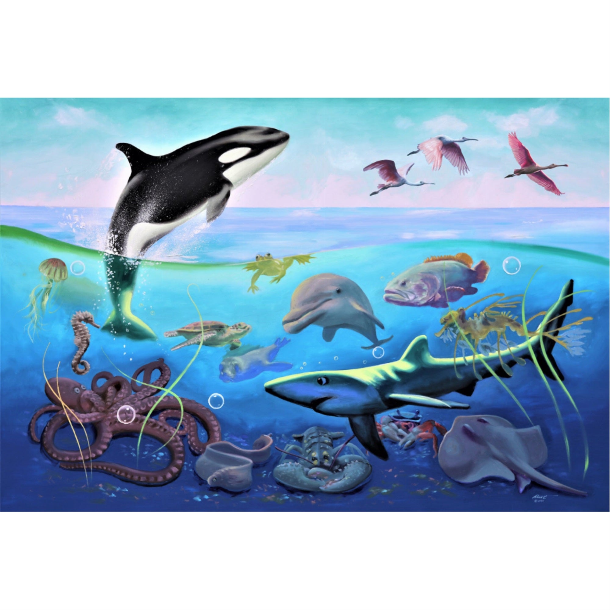 Ocean Life- 3D Postcard