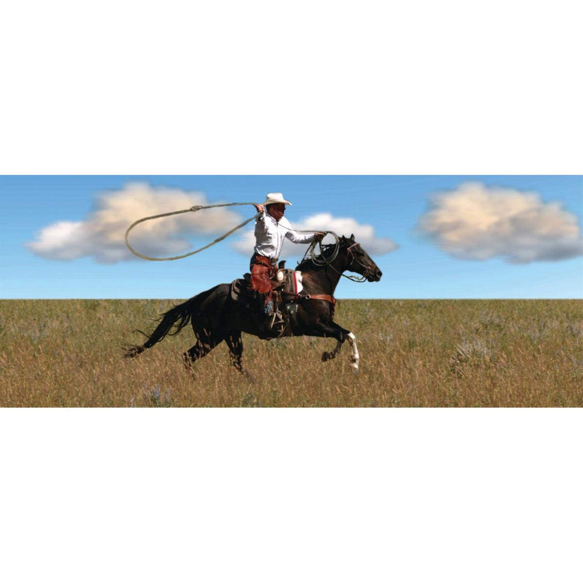 Cowboy - Motion Bookmark/ 6' Ruler