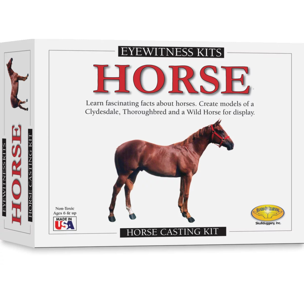 Eyewitness Kit - Horse