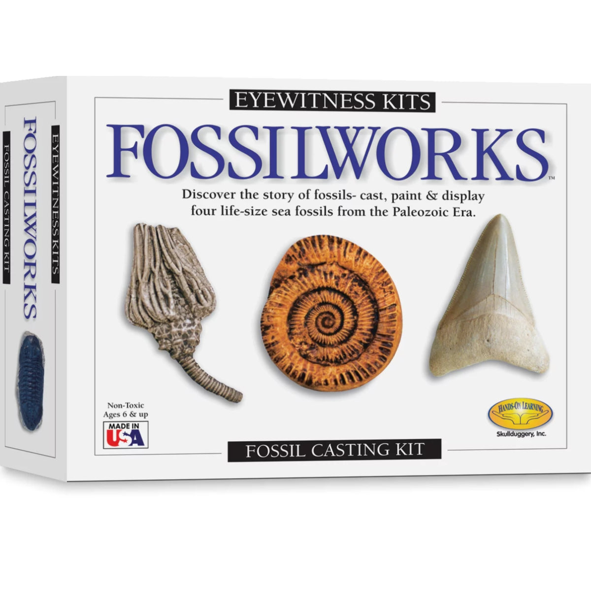 Eyewitness Kit - Fossilworks
