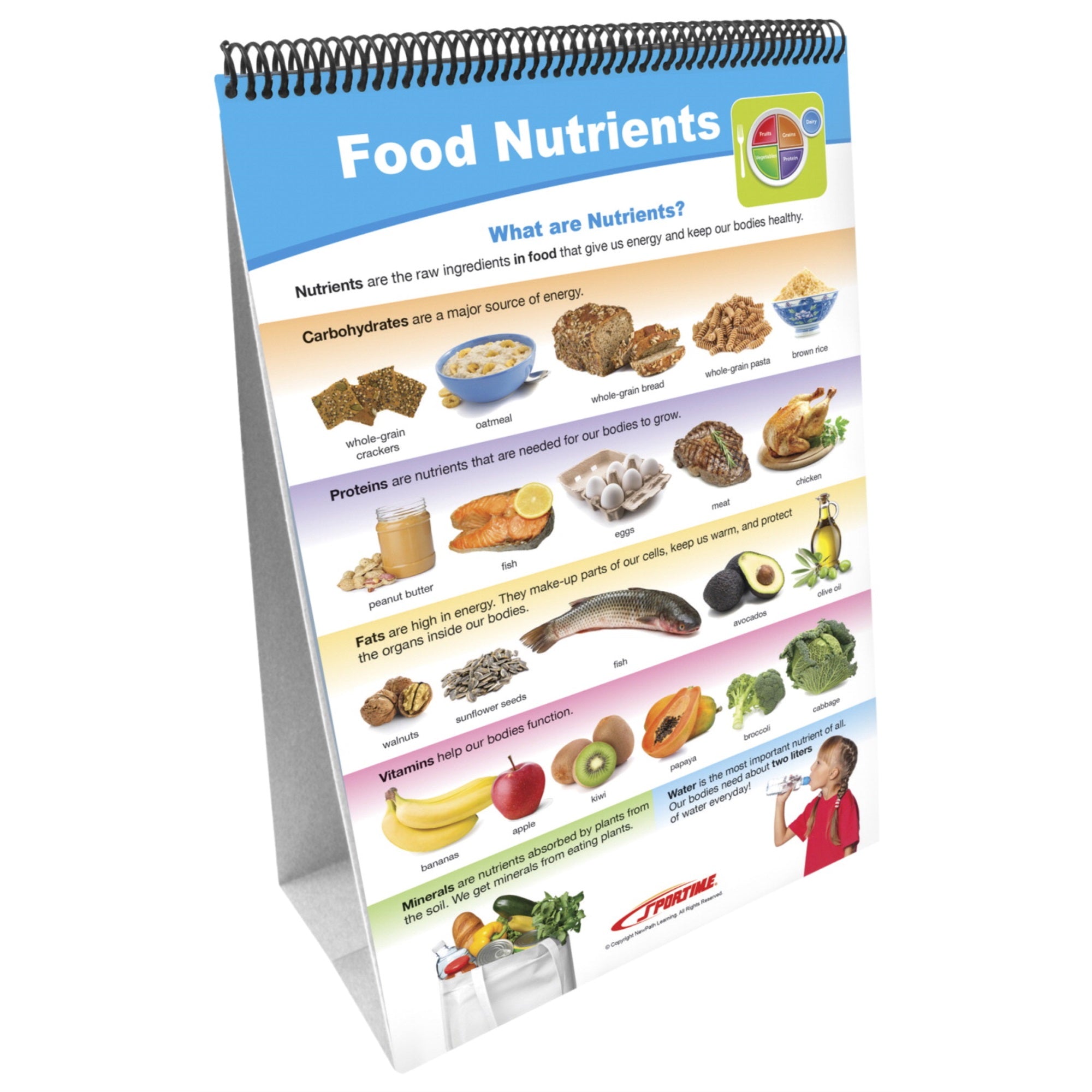 Sportime Myplate Food Groups Flip Charts, Grades 1 To 4, Set Of 10