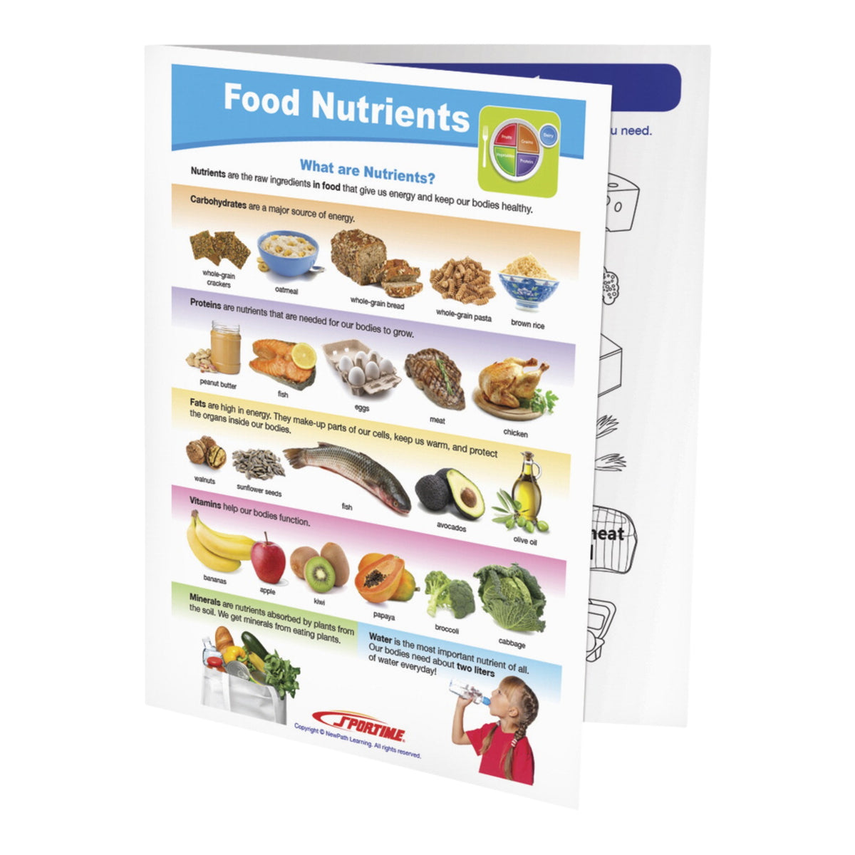 Sportime Food Nutrients Visual Learning Guide, 4 Pages, Grades 1 To 4