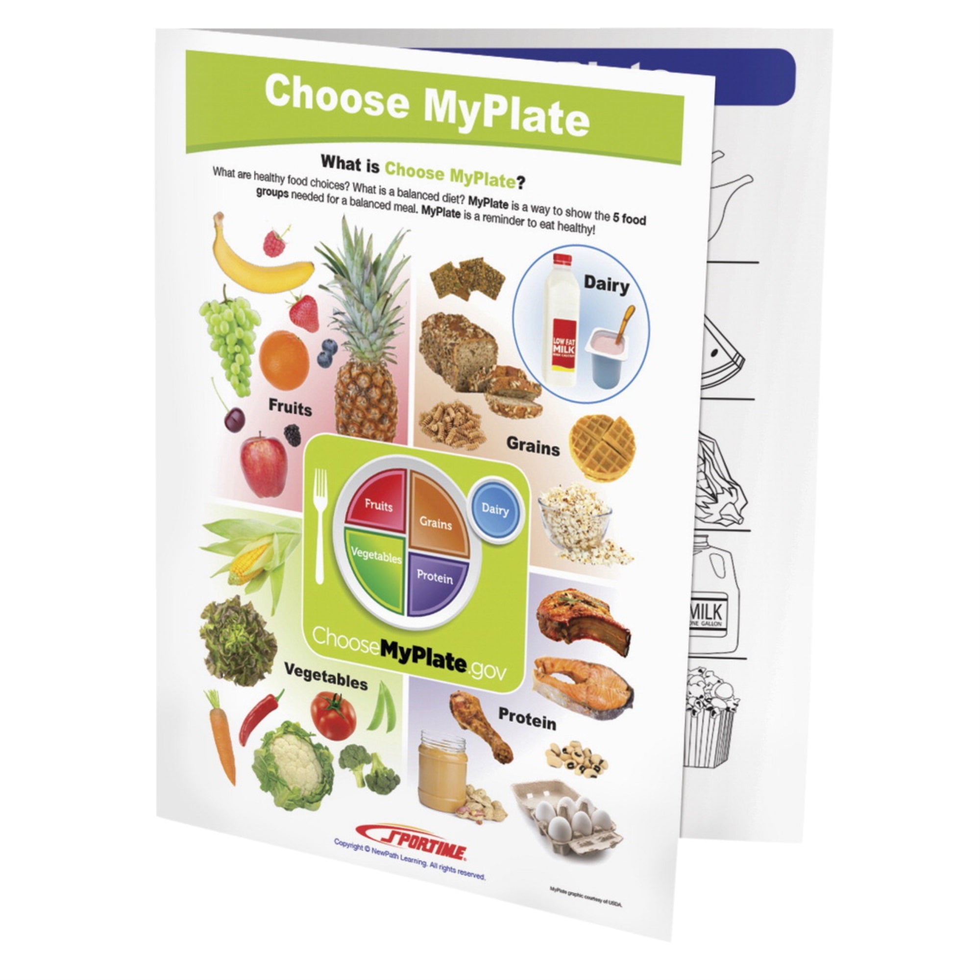 Sportime Choose Myplate Visual Learning Guide, 4 Pages, Grades 1 To 4
