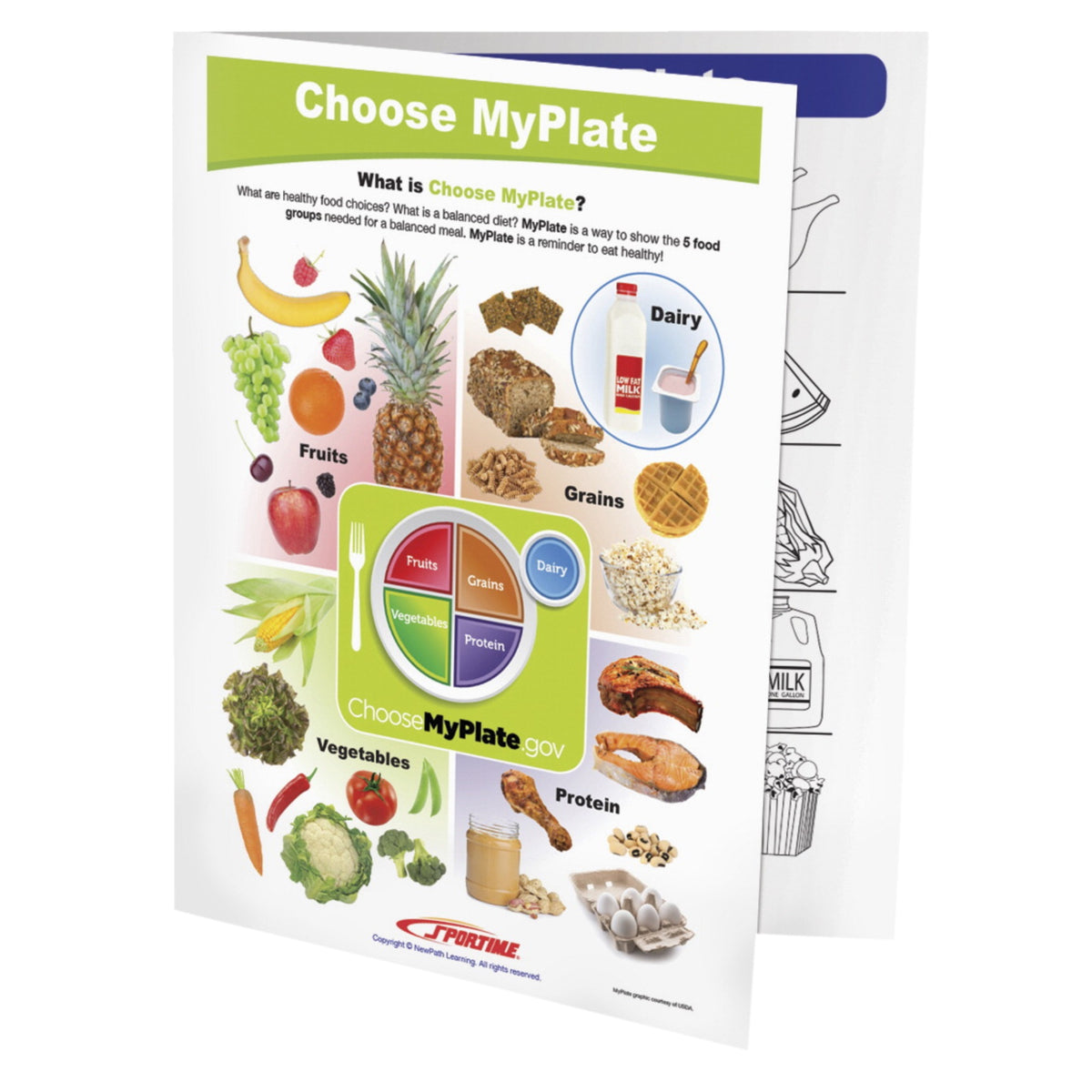 Sportime Choose Myplate Visual Learning Guide, 4 Pages, Grades 1 To 4