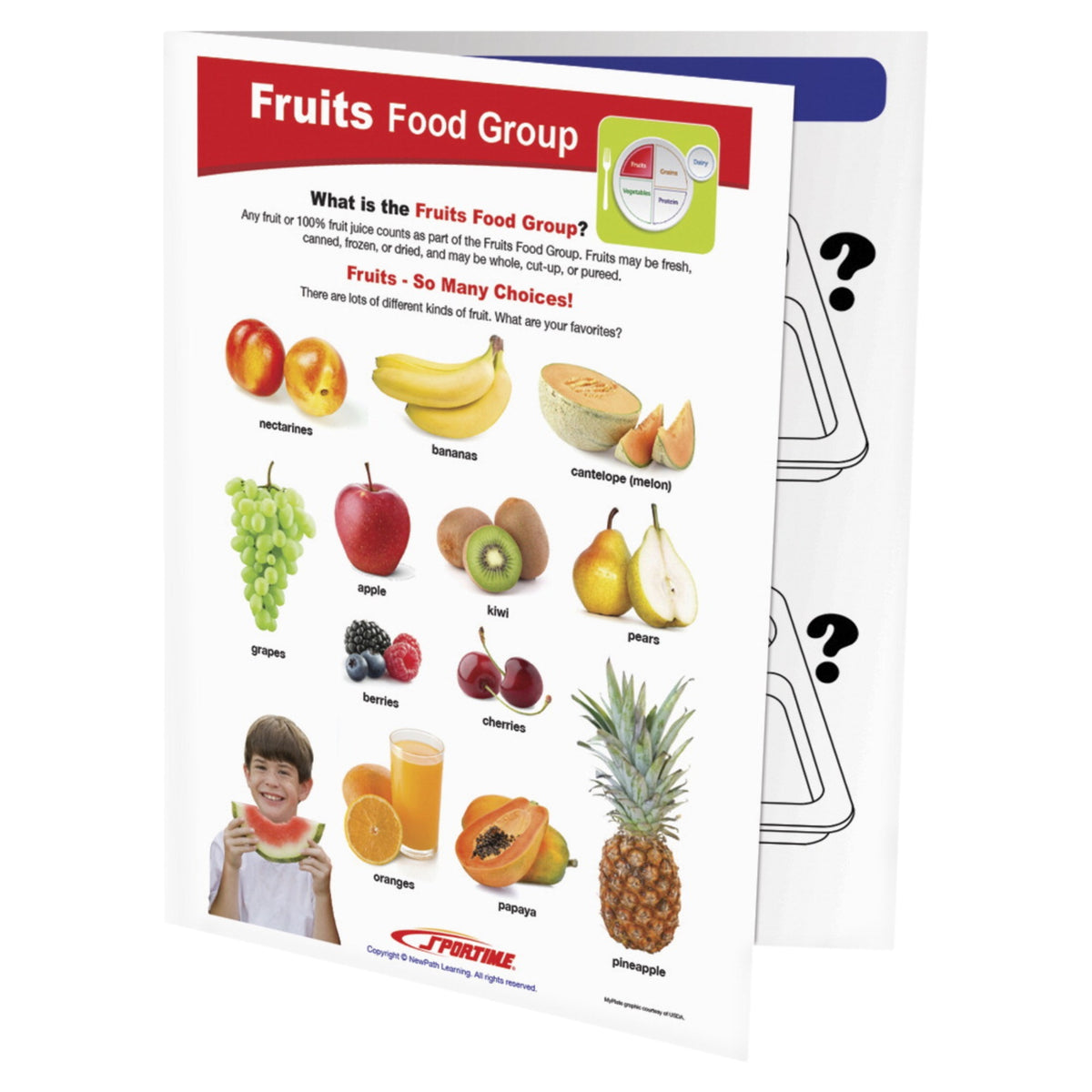 Sportime Fruits Food Group Visual Learning Guide, 4 Pages, Grades 1 To 4