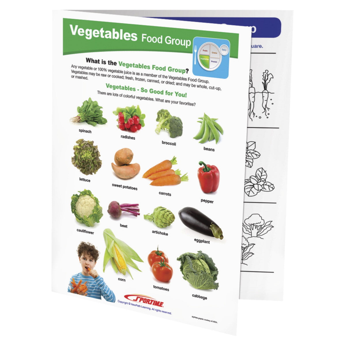 Sportime Vegetables Food Group Visual Learning Guide, 4 Pages, Grades 1 To 4
