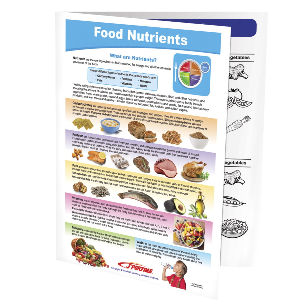 Sportime Food Nutrients Visual Learning Guide, 4 Pages, Grades 5 To 9
