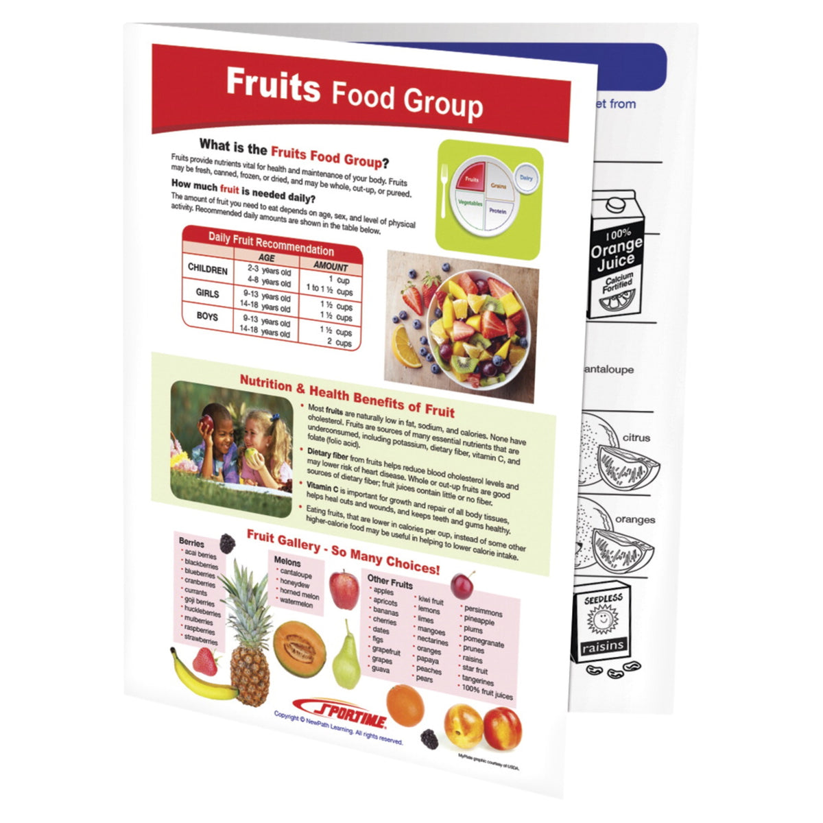 Sportime Fruits Food Group Visual Learning Guide, 4 Pages, Grades 5 To 9