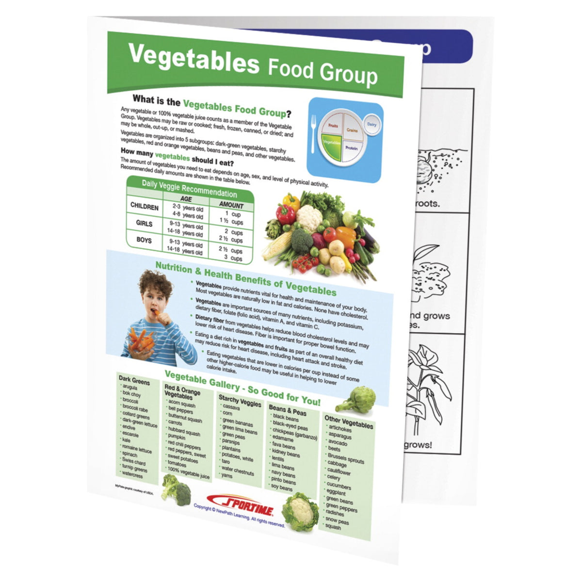 Sportime Vegetables Food Group Visual Learning Guide, 4 Pages, Grades 5 To 9