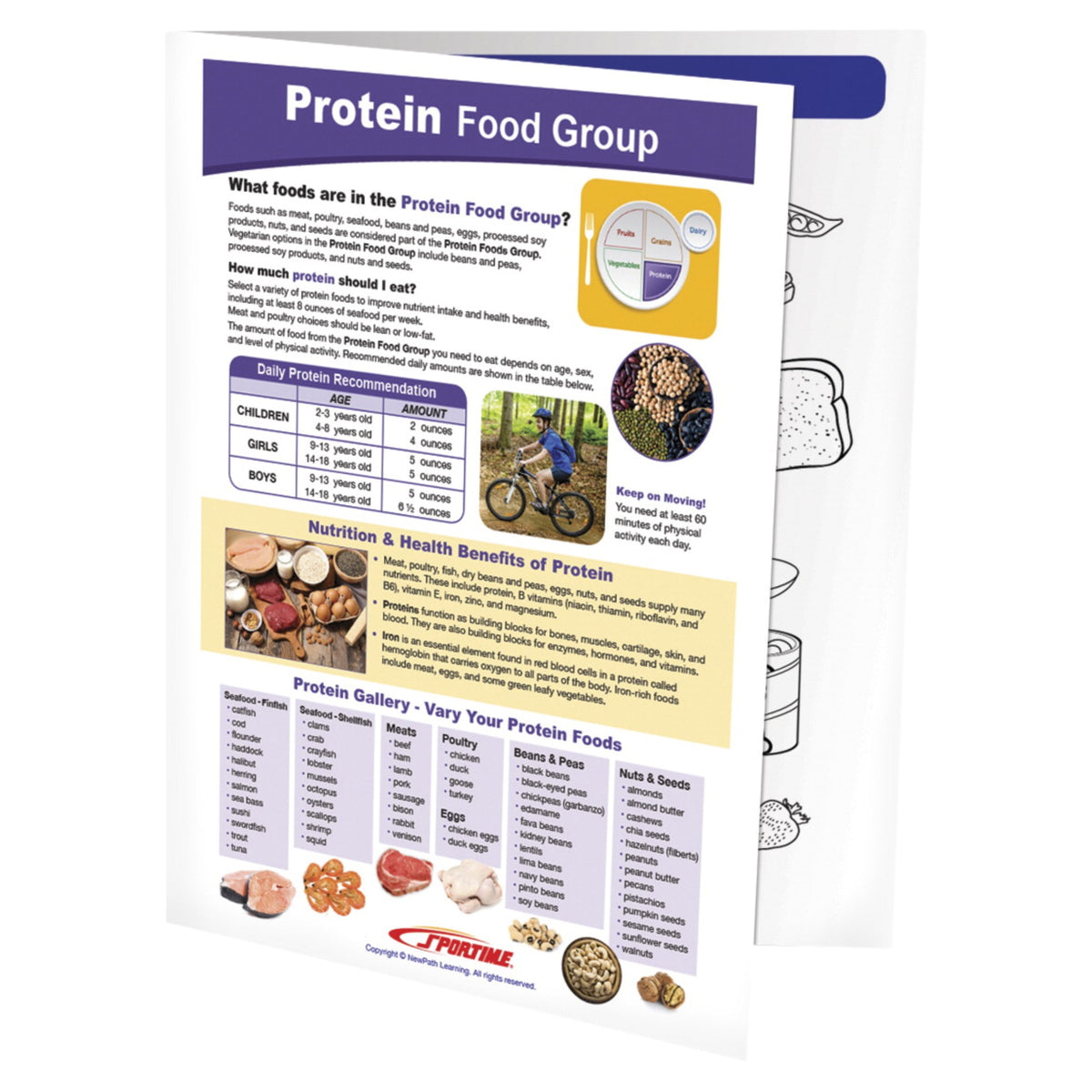 Sportime Protein Food Group Visual Learning Guide, 4 Pages, Grades 5 To 9