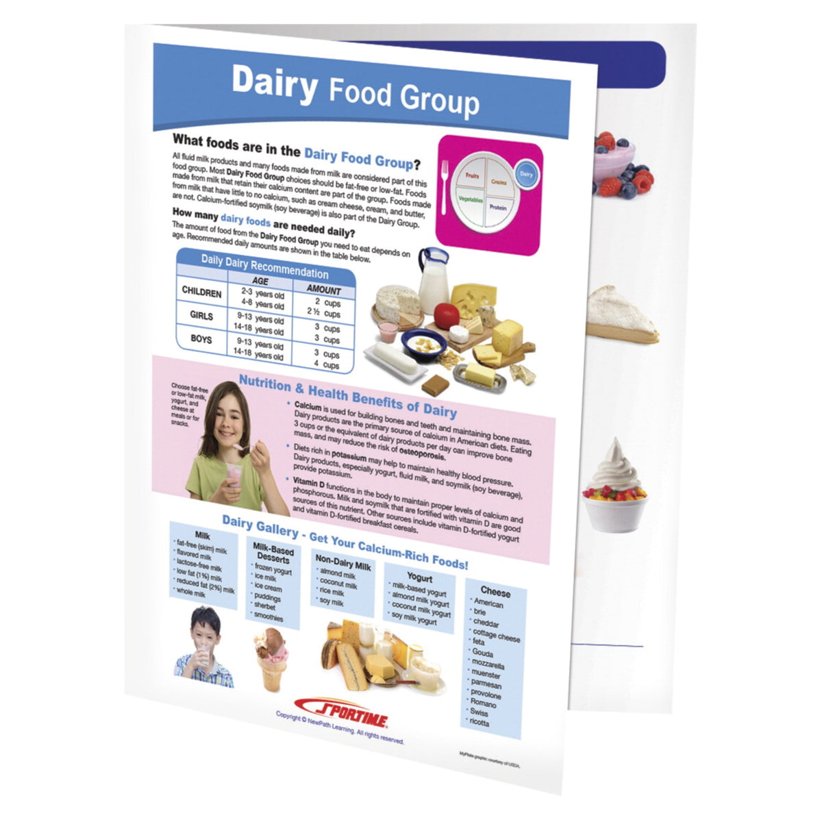 Sportime Dairy Food Group Visual Learning Guide, 4 Pages, Grades 5 To 9