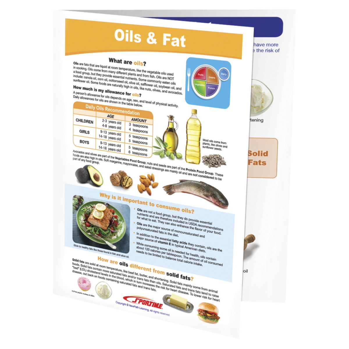 Sportime Oils &Amp; Fat Visual Learning Guide, 4 Pages, Grades 5 To 9