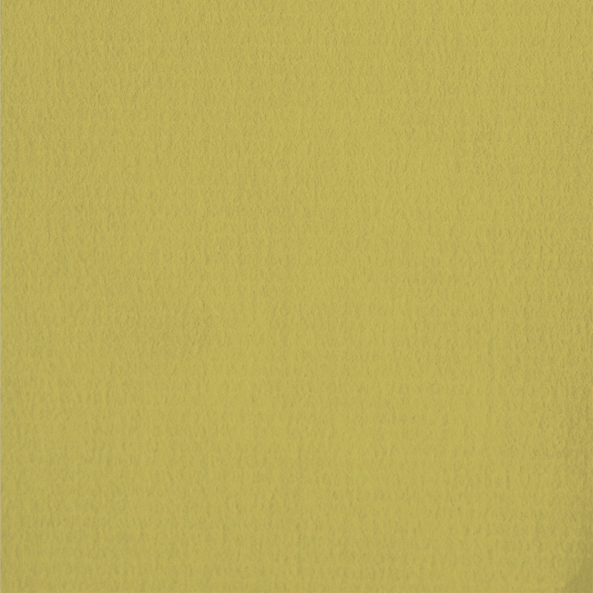 Strathmore 500 Series Charcoal Paper, 25 X 19 Inches, 64 Lb, Olive, 25 Sheets