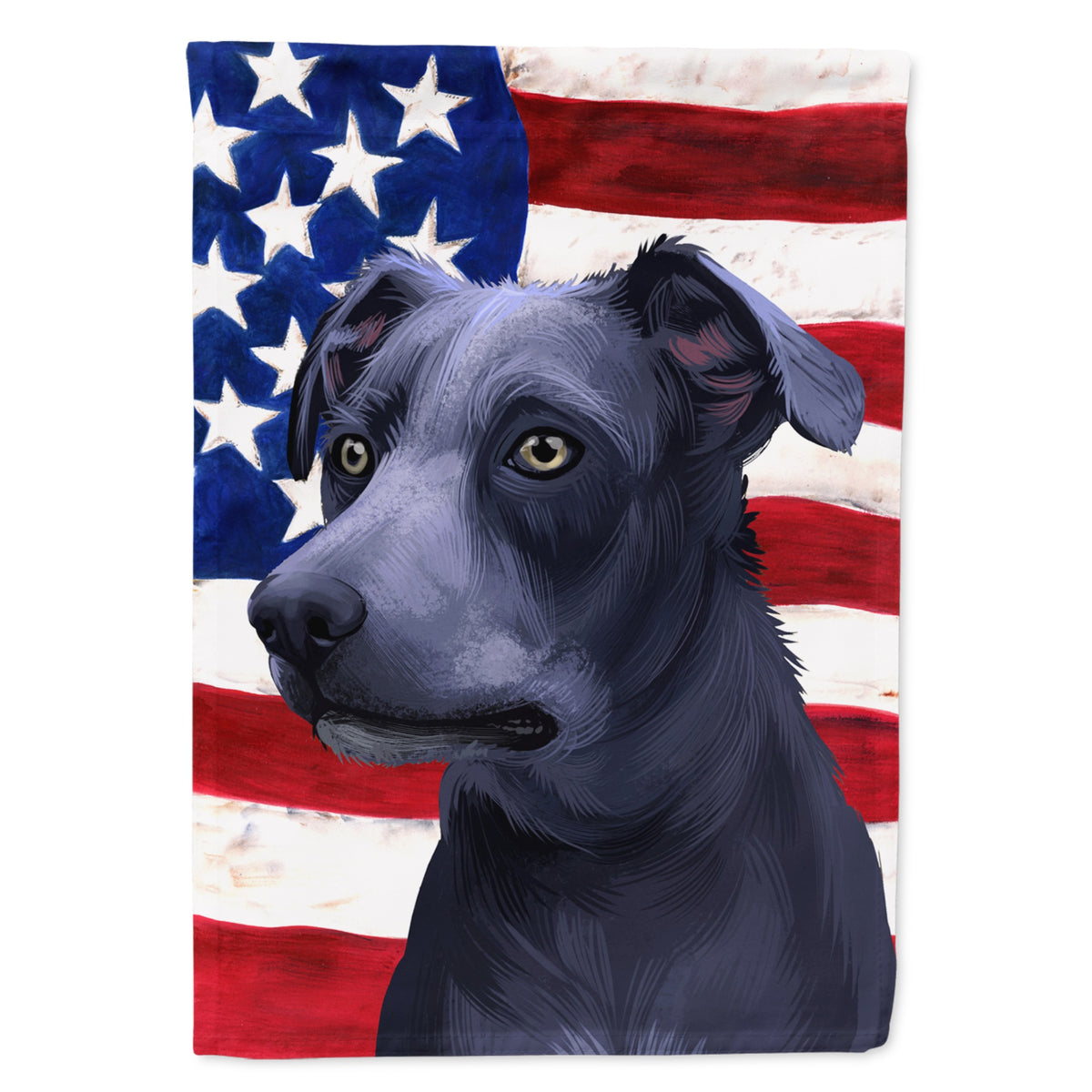 Blue Lacy Dog American Flag Flag Canvas House Size