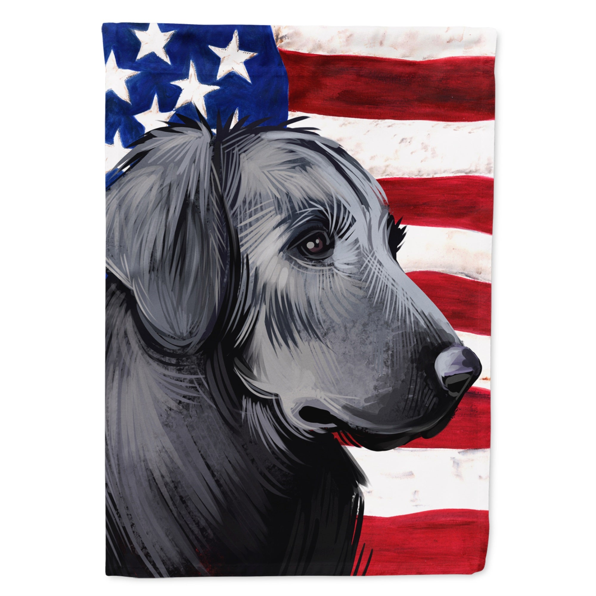 Flat-Coated Retriever American Flag Flag Canvas House Size